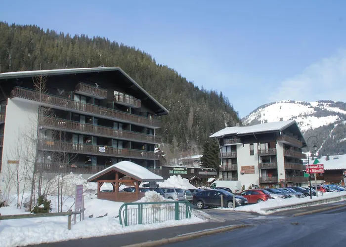 Moulin Ml161 Telecabine & Nature 6 Pers Châtel